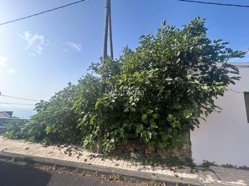 Foto 8536a380-dc87-4714-8879-748d8f364c45. Terreny residencial a Valverde