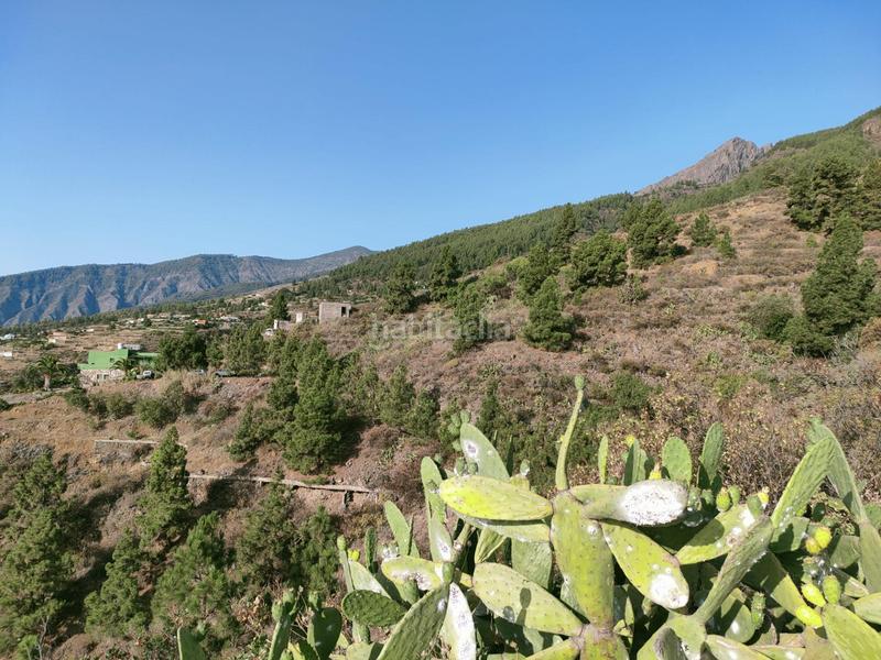 Foto 0752b1f6-212d-4eeb-966d-aadf8e79f4f5. Finca rústica a Arafo