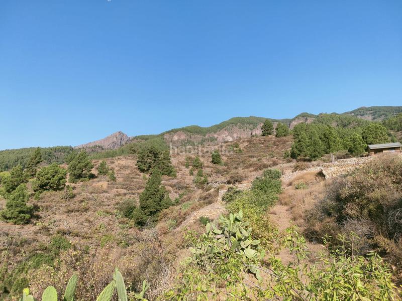 Foto 2f9de231-c5e4-4fd4-b2f3-12f5595ca9a5. Finca rústica a Arafo