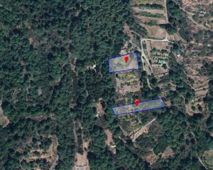 Finca rústica  Polígono 20 parcela 274 la peña. icod de los vin. Dos parcelas rústicas en icod de los vinos