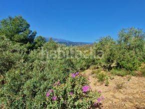 Foto 0b385247-70a9-4f25-a805-f4754e3d0ce5. Finca rústica a Jayena