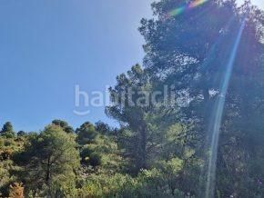 Foto bef0bedd-a087-4daf-8e25-1402ddd08c3e. Finca rústica a Jayena