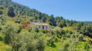 Fondo rustico in Jayena
