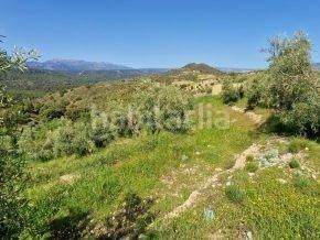 Foto fa0f06ba-eb54-4f72-ba98-02e4e5203c7c. Finca rústica a Jayena