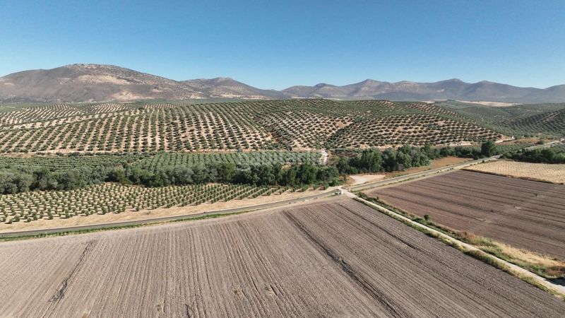 Foto 130ff823-42a9-4cf1-9367-9d81542d4cb5. Finca rústica a Albolote
