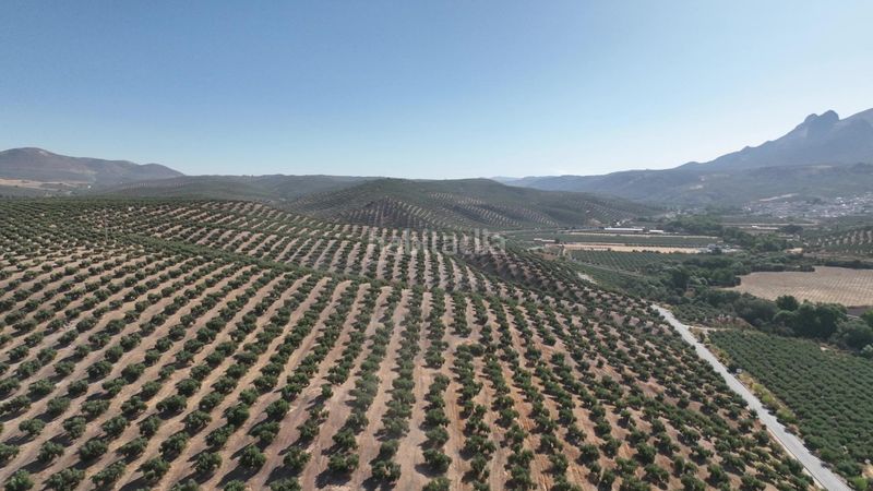 Foto 148c16c5-2cc0-49fb-b758-8699a3286b82. Finca rústica a Albolote