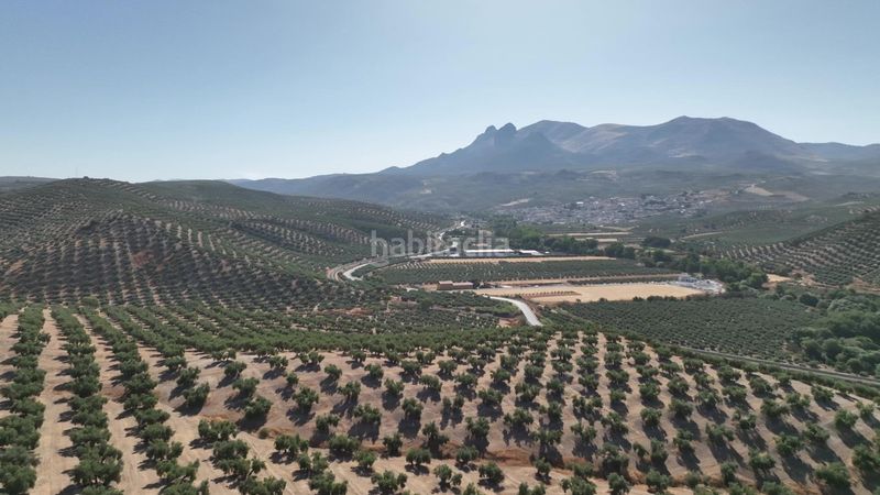 Foto 288ae0ac-9aef-4386-88d3-c0ab111632c2. Finca rústica a Albolote