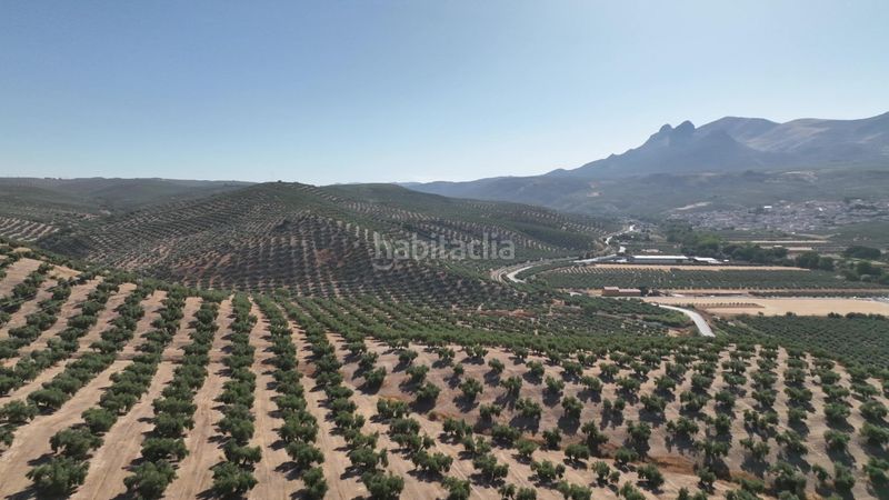 Foto 409c49f7-1c18-46c1-afcc-3285123bfae9. Finca rústica a Albolote