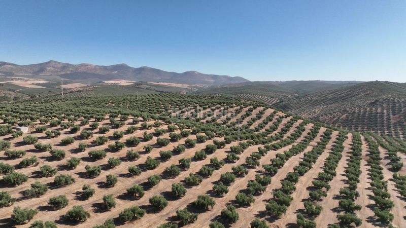 Foto 455a5d8a-3eec-466c-909f-6b38f4c955e3. Finca rústica a Albolote