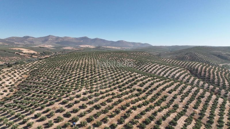 Foto 46281e10-c74e-40fb-b9a6-7b41599a3783. Finca rústica a Albolote