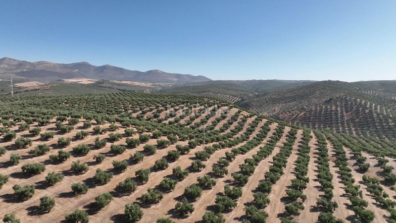 Foto 4b0ead5c-277e-44a6-bccd-79e22f30a30b. Finca rústica a Albolote