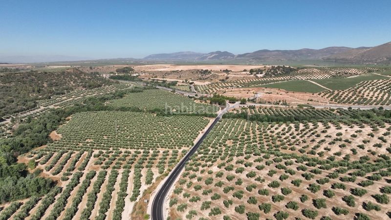 Foto 87cf34d9-a61d-41c7-93d9-116ea53e464c. Finca rústica a Albolote