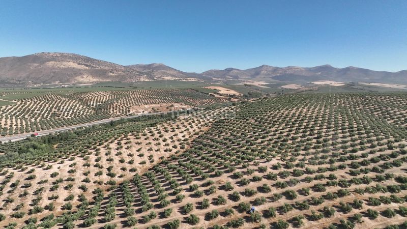 Foto d73aec22-64e1-4090-9c67-d410e1cab61a. Finca rústica a Albolote