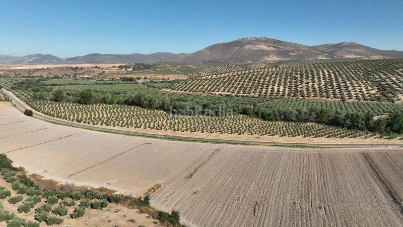Foto d9fb964b-0093-469c-bff9-7c025ce7e2d0. Finca rústica a Albolote