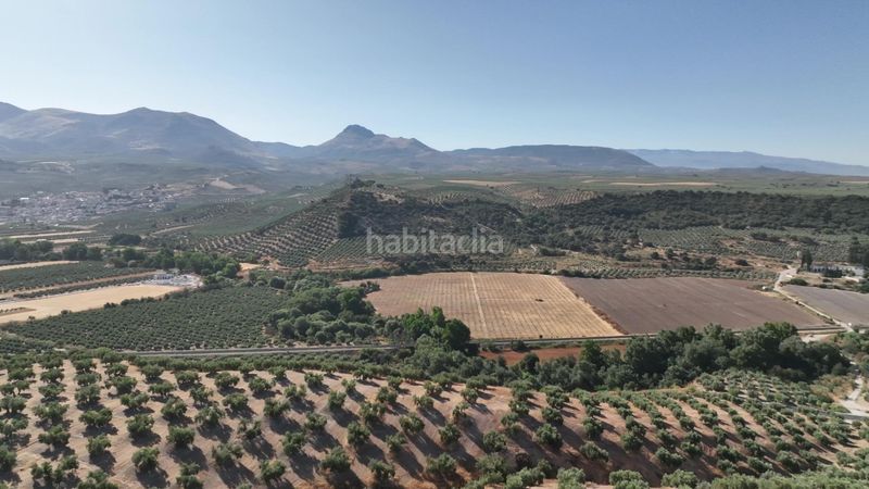 Foto e60b5e67-b1a7-46d4-b594-650421d0c355. Finca rústica a Albolote