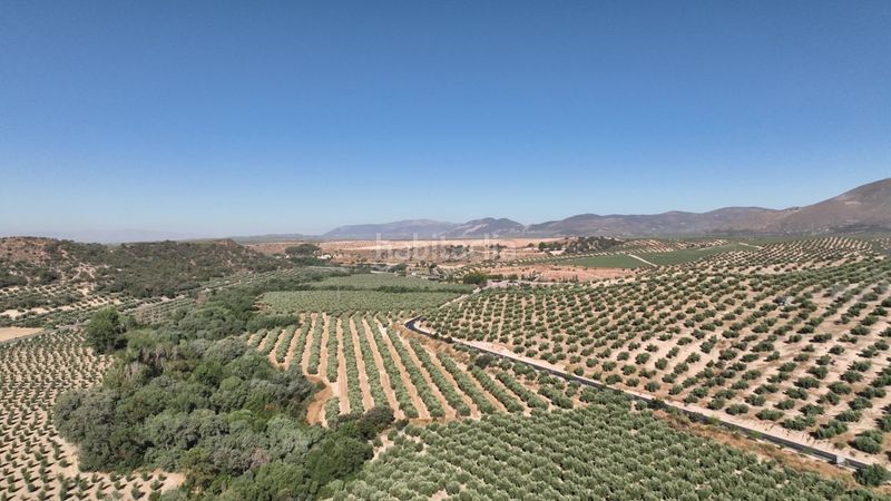 Foto eb82e450-93db-4f8e-8e54-00c0be636bf4. Finca rústica a Albolote