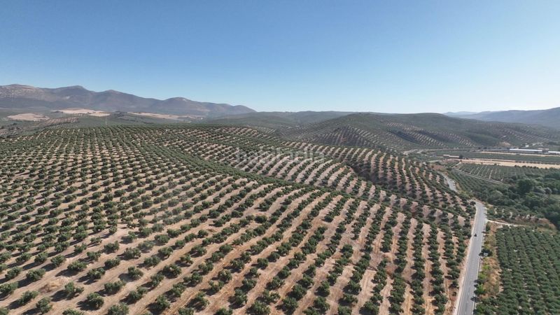 Foto f0802e2a-1eb2-49d8-bd37-413595a13082. Finca rústica a Albolote