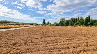 Finca rústica a Moraleda de Zafayona. Parcela rústica de 4.824 m2 en llanos de moraleda, moraleda de z