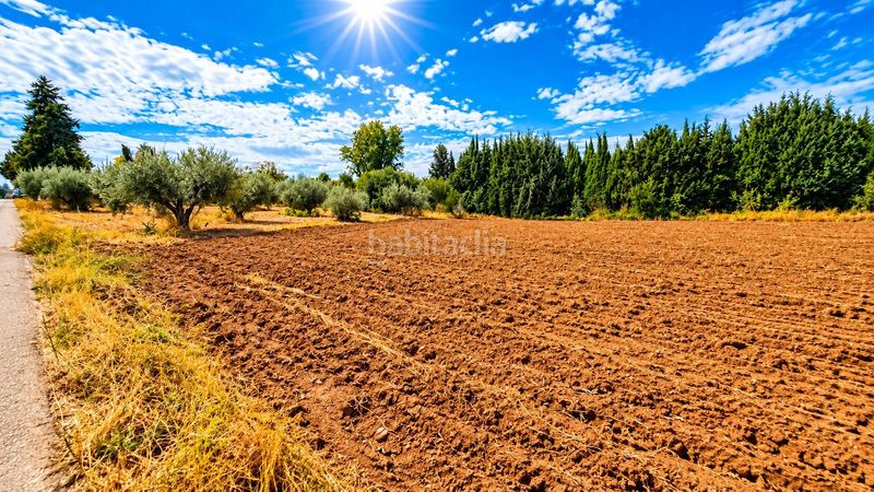 Foto 08c6b960-c536-471e-b40c-97ee89bd9498. Finca rústica a Moraleda de Zafayona