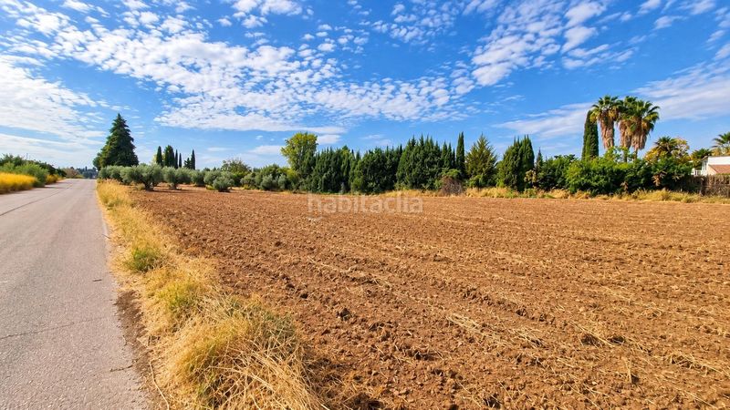 Foto 5b0b8181-263c-4307-ae59-7bc38d3d989a. Finca rústica a Moraleda de Zafayona