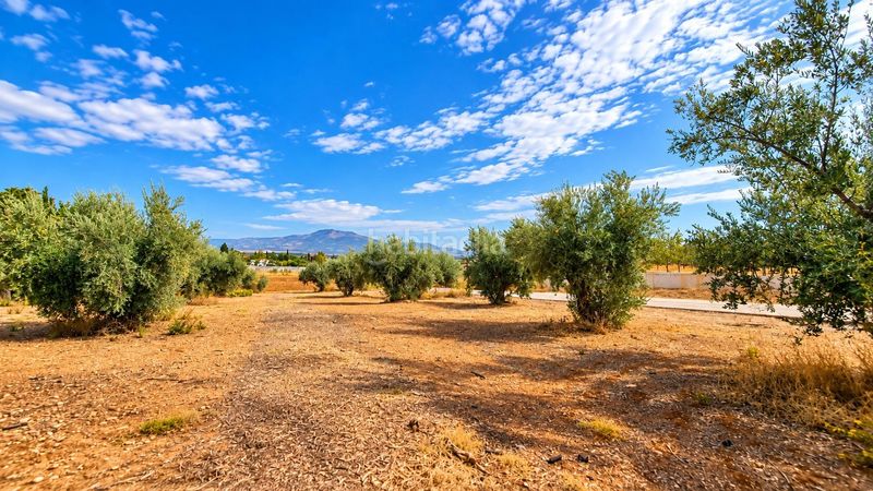 Foto 5def0d79-6106-4e8d-87d6-a35301309726. Finca rústica a Moraleda de Zafayona