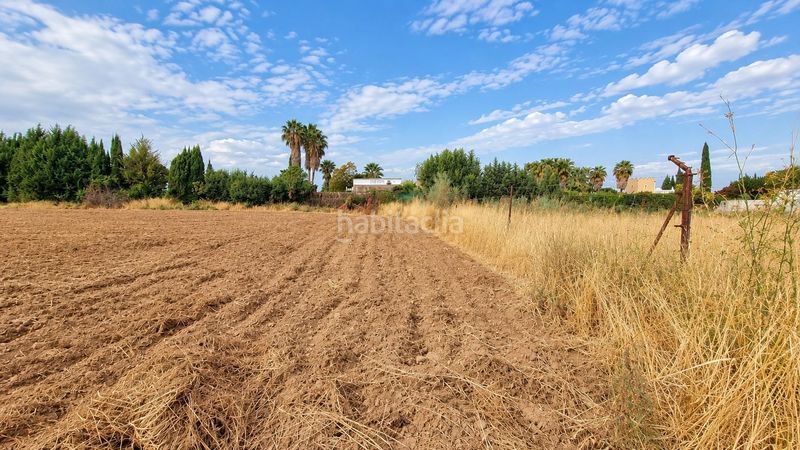 Foto 85155976-8dba-4eb2-83fa-53f0246573e4. Finca rústica a Moraleda de Zafayona