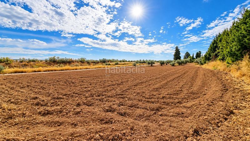 Foto a0b1d9ba-fd95-4522-99e8-fdf6f5c09813. Finca rústica a Moraleda de Zafayona