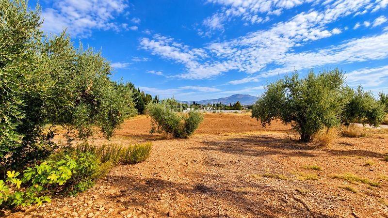 Foto a3800658-ec54-4af2-8232-8b24eb777091. Finca rústica a Moraleda de Zafayona