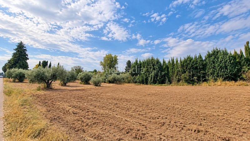 Foto a8fd659f-67d5-4d94-a655-82eb0e28772d. Finca rústica a Moraleda de Zafayona