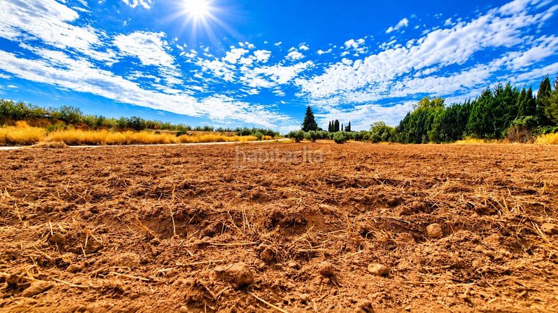 Foto c6877417-1b82-473e-8e44-d2bfaf8f3b00. Finca rústica a Moraleda de Zafayona
