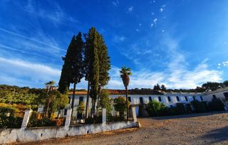 Masia a Albolote. Estate de lujo junto a granada 13.180 m2 para proyecto hotelero