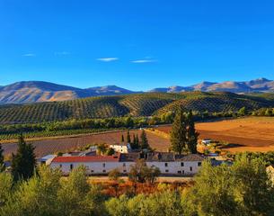 Masia a Albolote. Exceptional estate in granada