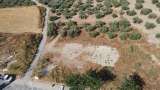 Finca rústica a Polígono 3 parcela 75 la hila. alfacar (granada) 3. Excepcional parcela rústica con olivos en alfacar!