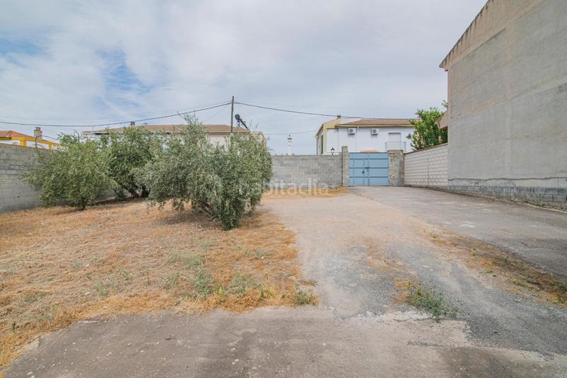 Foto e68d1778-b689-4684-b4b3-546c2cd3a159. Terreny residencial a calle nivar 40 a Moraleda de Zafayona