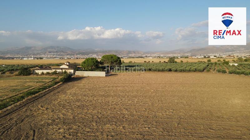 Foto 1bc01ba7-2bda-4b28-b4fb-9f49dac67a59. Finca rústica a extrarradio 178 a Polideportivo Alhendín