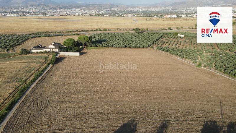 Foto 1c7fded5-01da-4dc0-adf0-84ce71a8168e. Finca rústica a extrarradio 178 a Polideportivo Alhendín