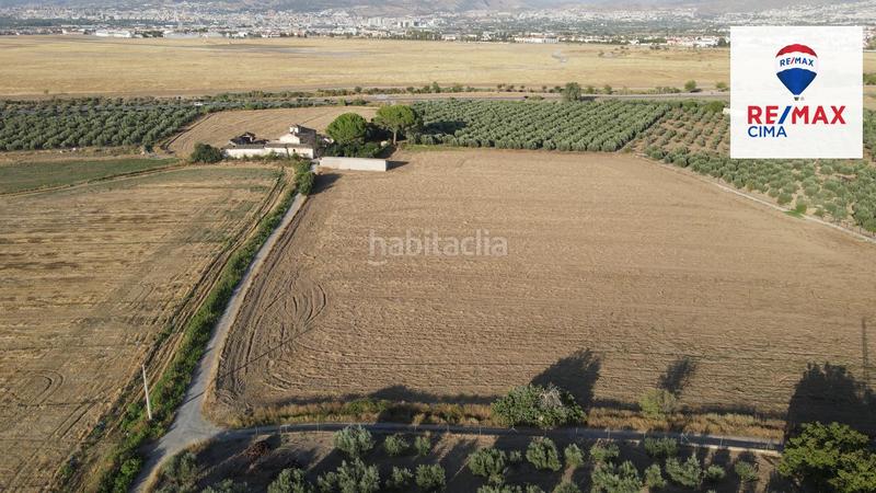 Foto 1f91d6aa-947f-4d07-9011-0cb3c3bf90bd. Finca rústica a extrarradio 178 a Polideportivo Alhendín