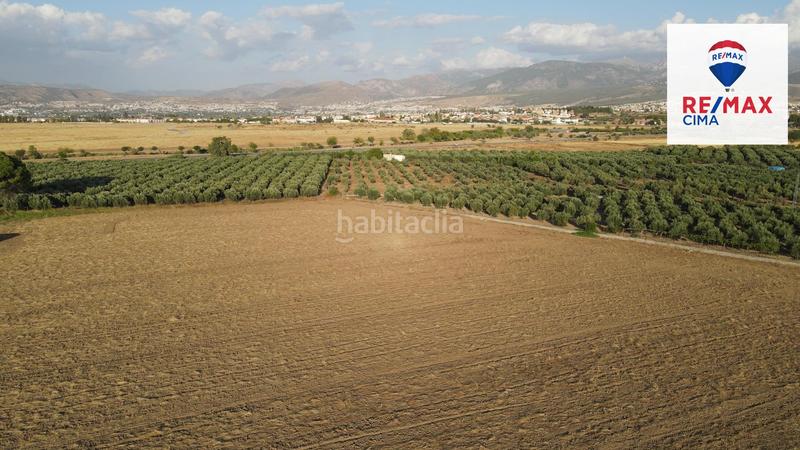Foto 230d0986-fb79-42b9-a44e-e438a708a4a0. Finca rústica a extrarradio 178 a Polideportivo Alhendín