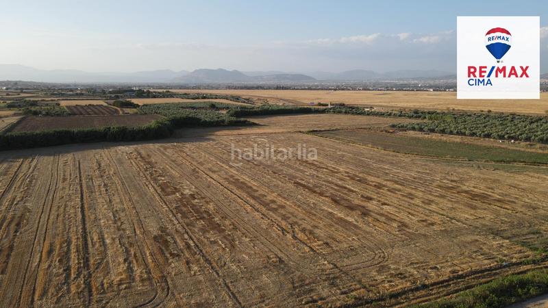 Foto 3077b228-b0ec-4201-b7dd-393733424bf5. Finca rústica a extrarradio 178 a Polideportivo Alhendín