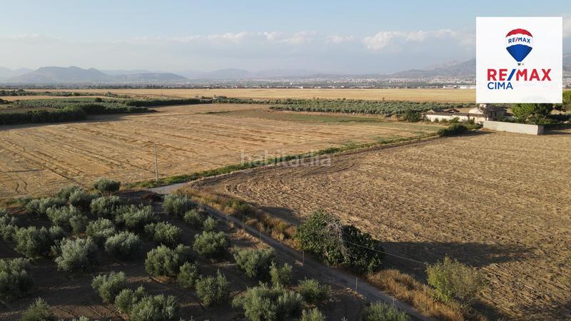 Foto 31a4969b-86d2-435e-b687-3fad9b1b0f6b. Finca rústica a extrarradio 178 a Polideportivo Alhendín