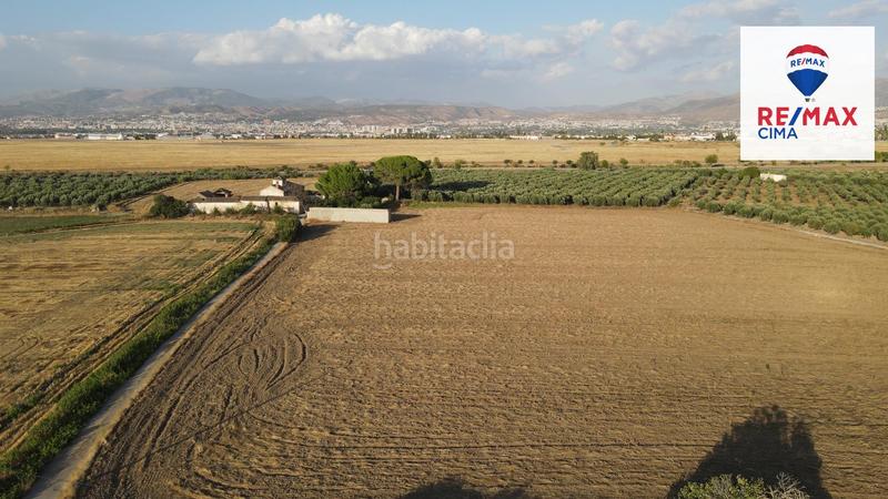 Foto 5234b80c-4d6f-41b7-9b29-520a97de596c. Finca rústica a extrarradio 178 a Polideportivo Alhendín