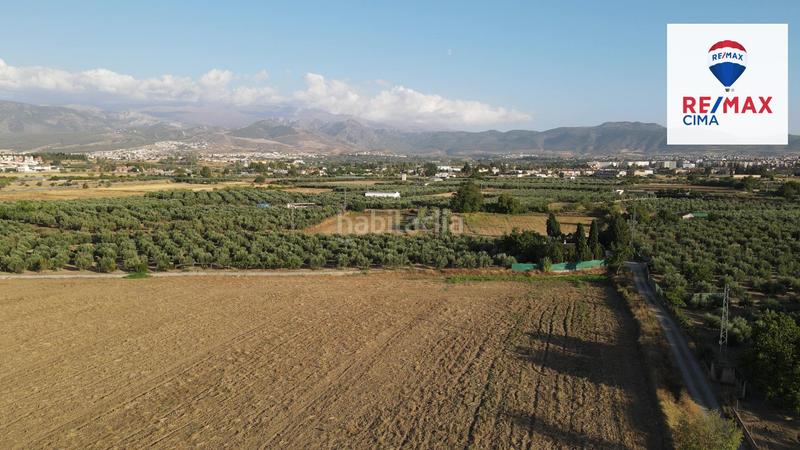 Foto 5813912a-fe56-464a-ac22-17f43f5b6119. Finca rústica a extrarradio 178 a Polideportivo Alhendín