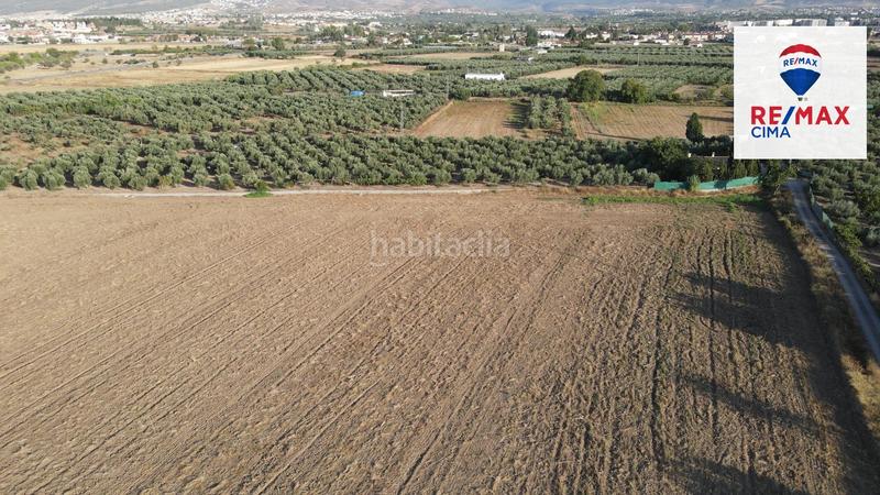 Foto 66107b5b-95ce-40ae-b3f8-9b4edd732411. Finca rústica a extrarradio 178 a Polideportivo Alhendín
