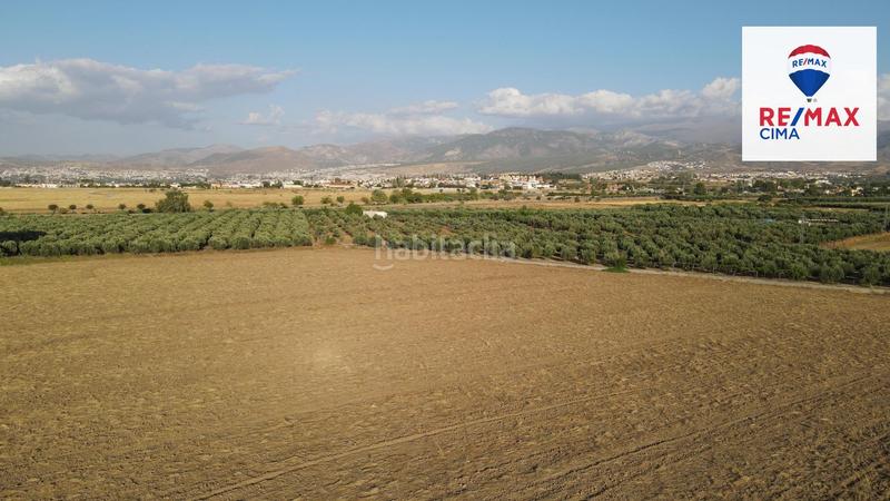 Foto 91ec81f2-0eab-47f0-a2db-4e7143a561ac. Finca rústica a extrarradio 178 a Polideportivo Alhendín