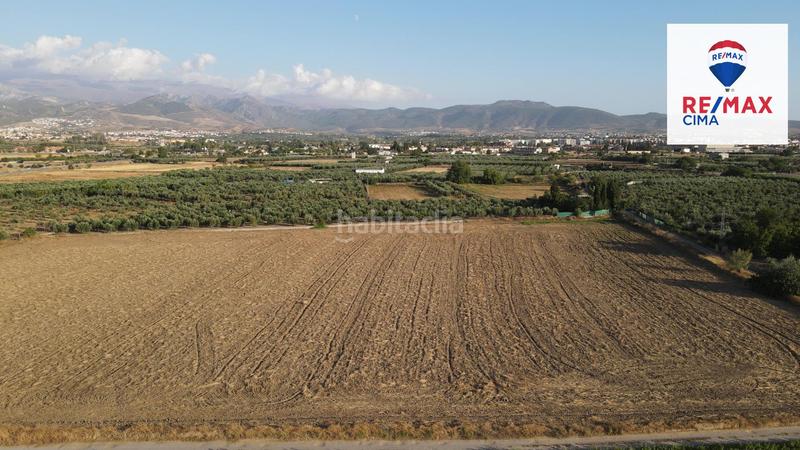Foto a61399cb-fd22-4b48-abac-8f7763c3477c. Finca rústica a extrarradio 178 a Polideportivo Alhendín