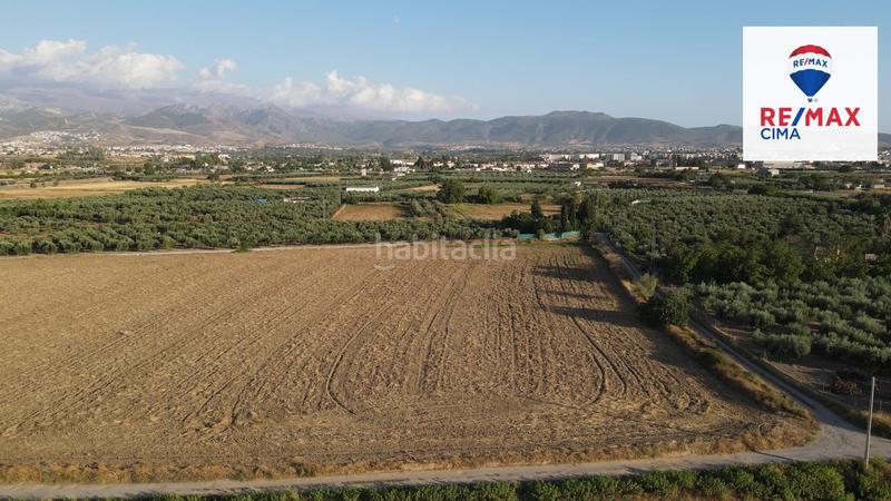 Foto c1f77180-c677-420b-aee0-4bc888fd3e43. Finca rústica a extrarradio 178 a Polideportivo Alhendín