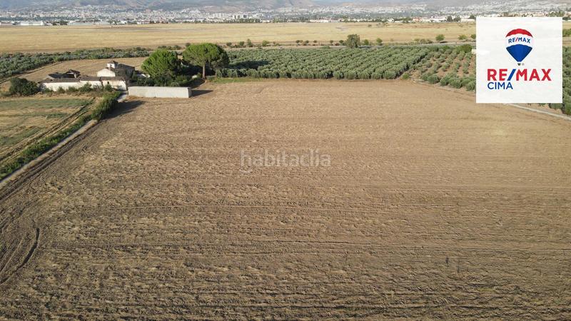 Foto c2dbfb24-e5b2-418a-8ac7-954481cbef04. Finca rústica a extrarradio 178 a Polideportivo Alhendín