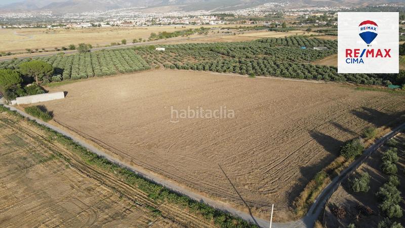 Foto c7e31cc3-cc75-4260-aa7e-9c9c7f5e7f67. Finca rústica a extrarradio 178 a Polideportivo Alhendín
