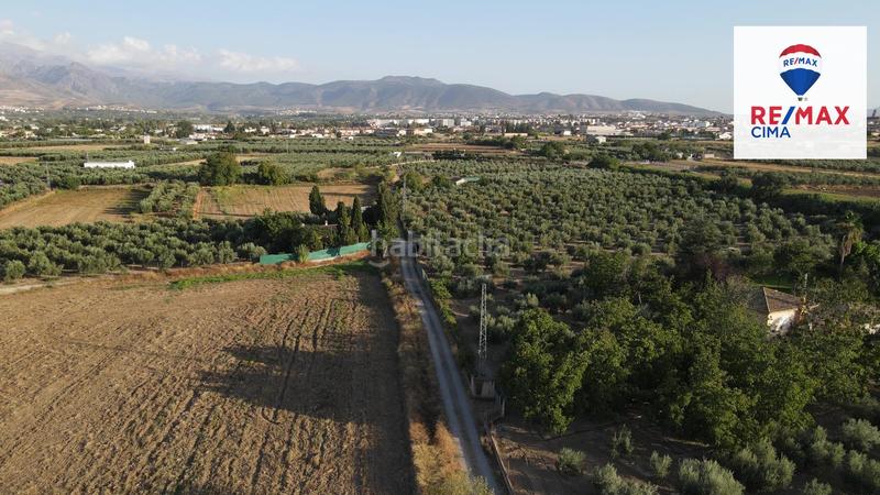 Foto d06ea12b-20ef-4838-a011-cd4c2c8d1f3c. Finca rústica a extrarradio 178 a Polideportivo Alhendín