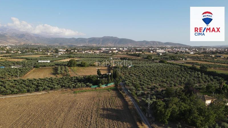 Foto e523ff9f-4a61-45c1-8753-419e7e28cf90. Finca rústica a extrarradio 178 a Polideportivo Alhendín